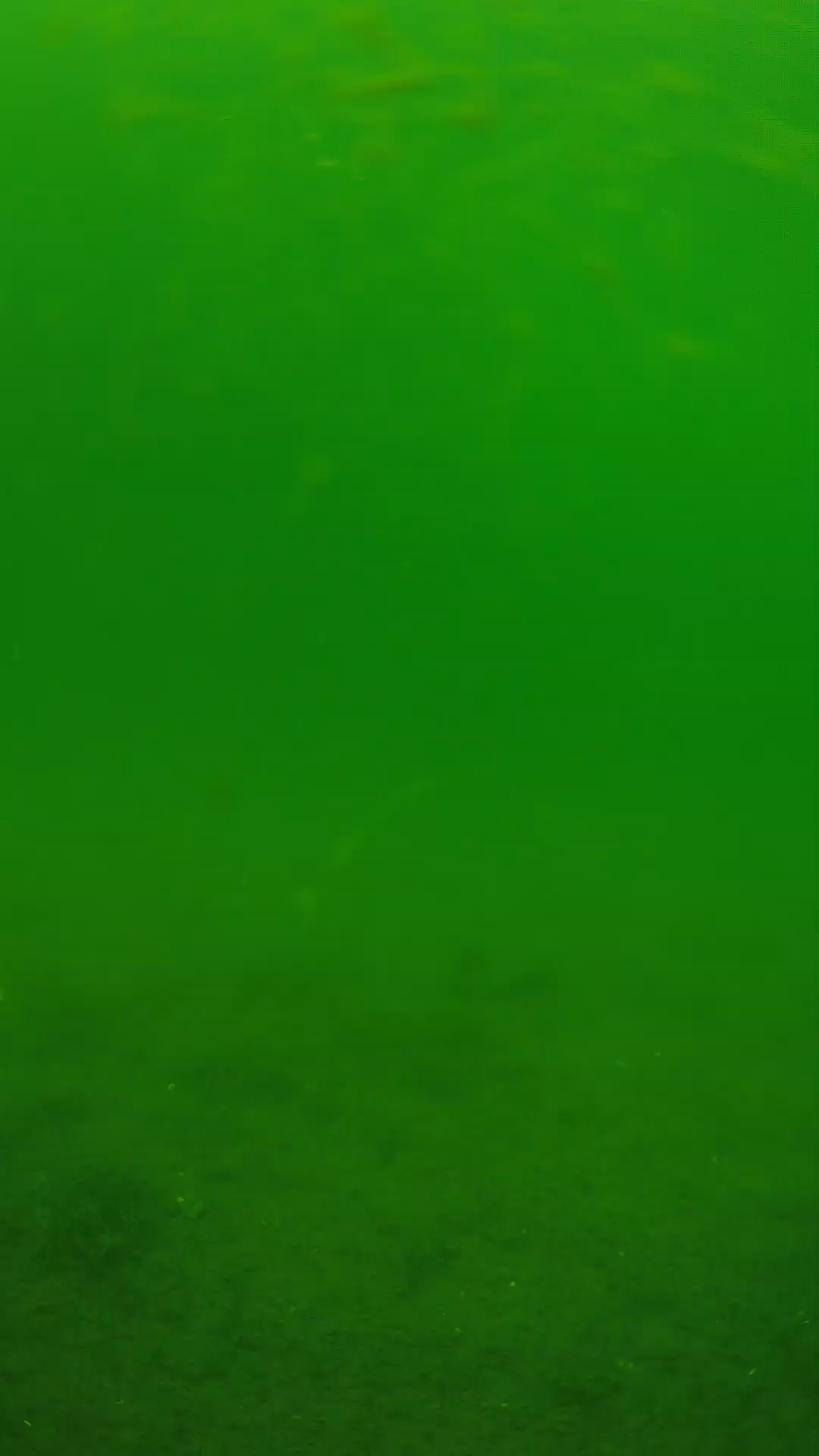 lander_ipcam_20240621113557.png