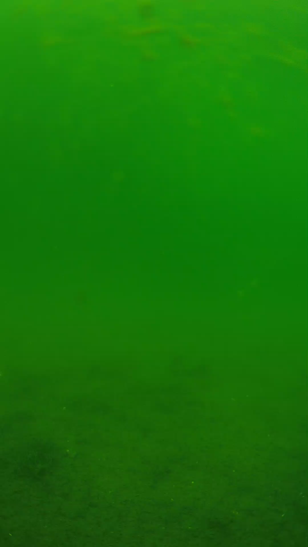 lander_ipcam_20240621113559.png