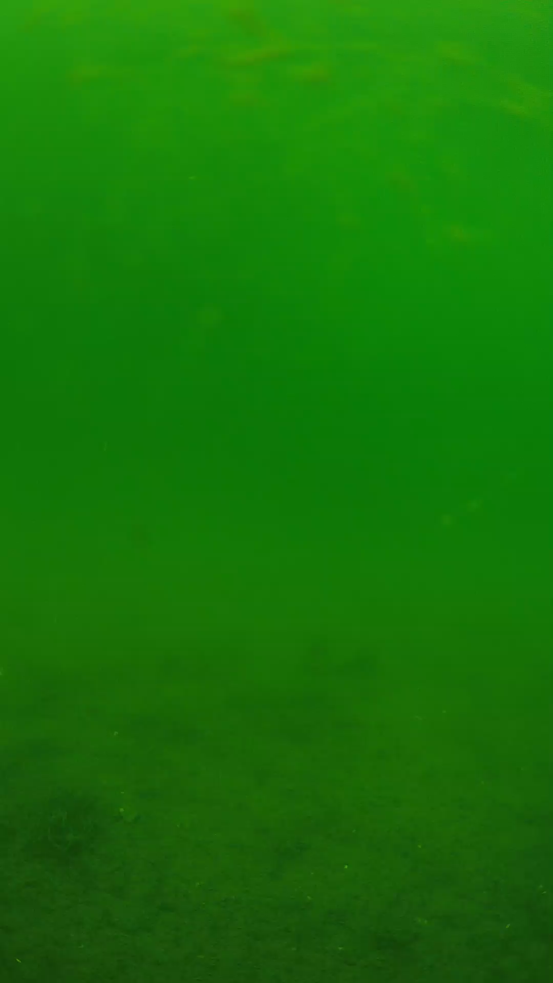 lander_ipcam_20240621113600.png