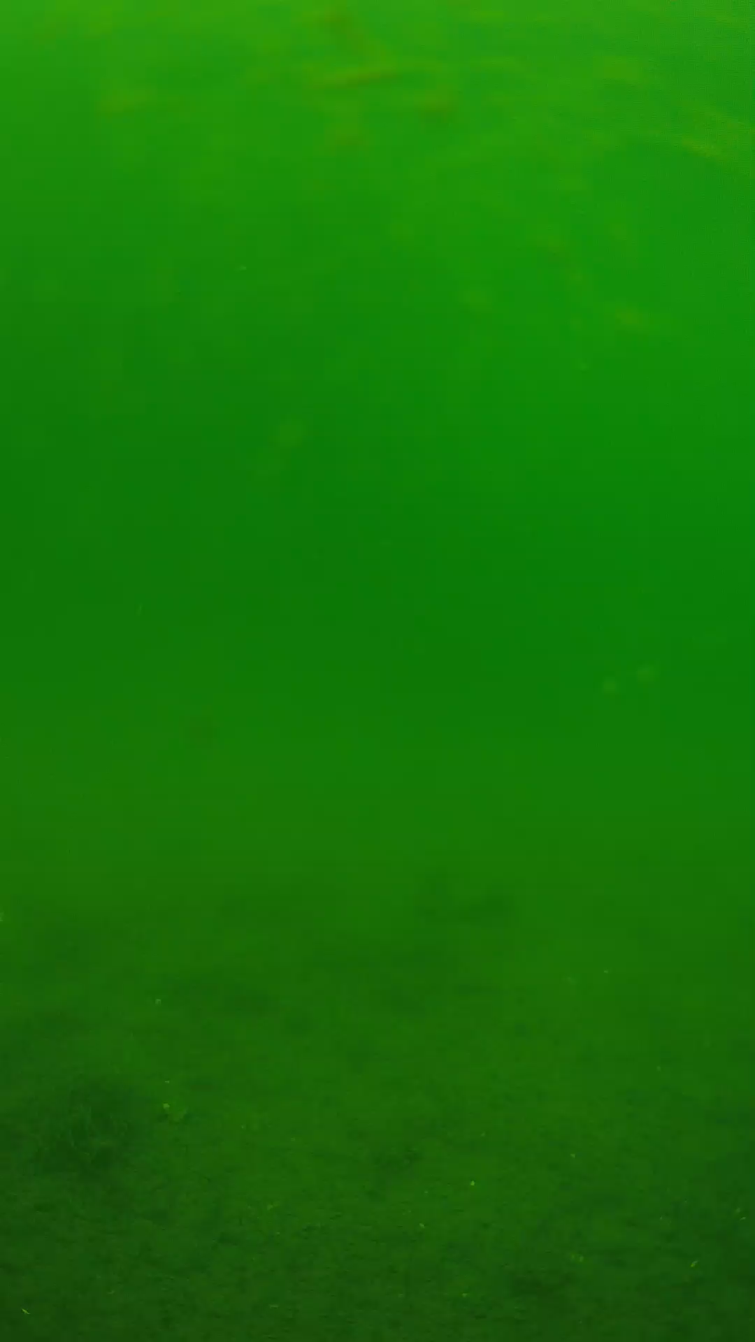 lander_ipcam_20240621113601.png