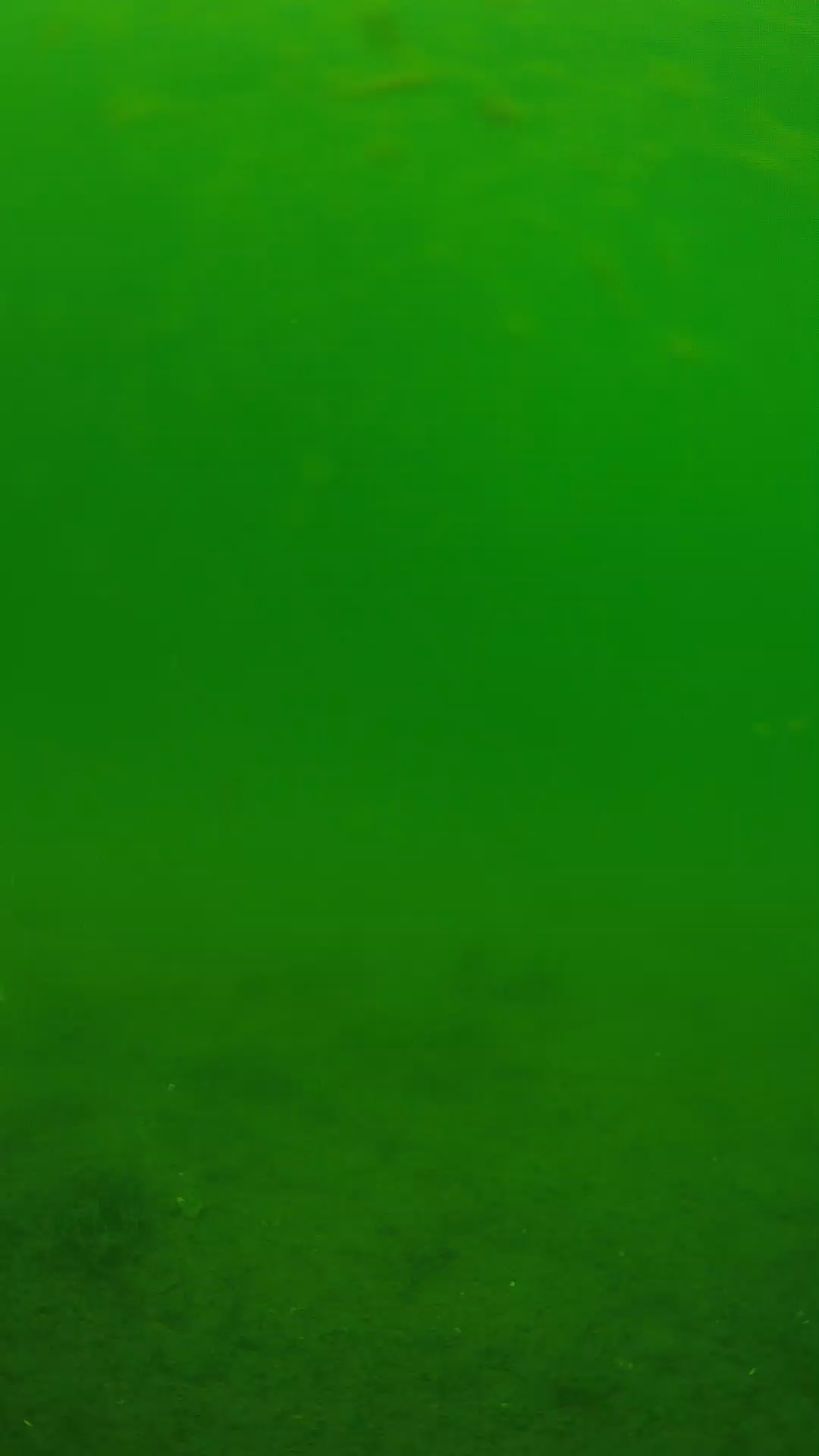 lander_ipcam_20240621113602.png