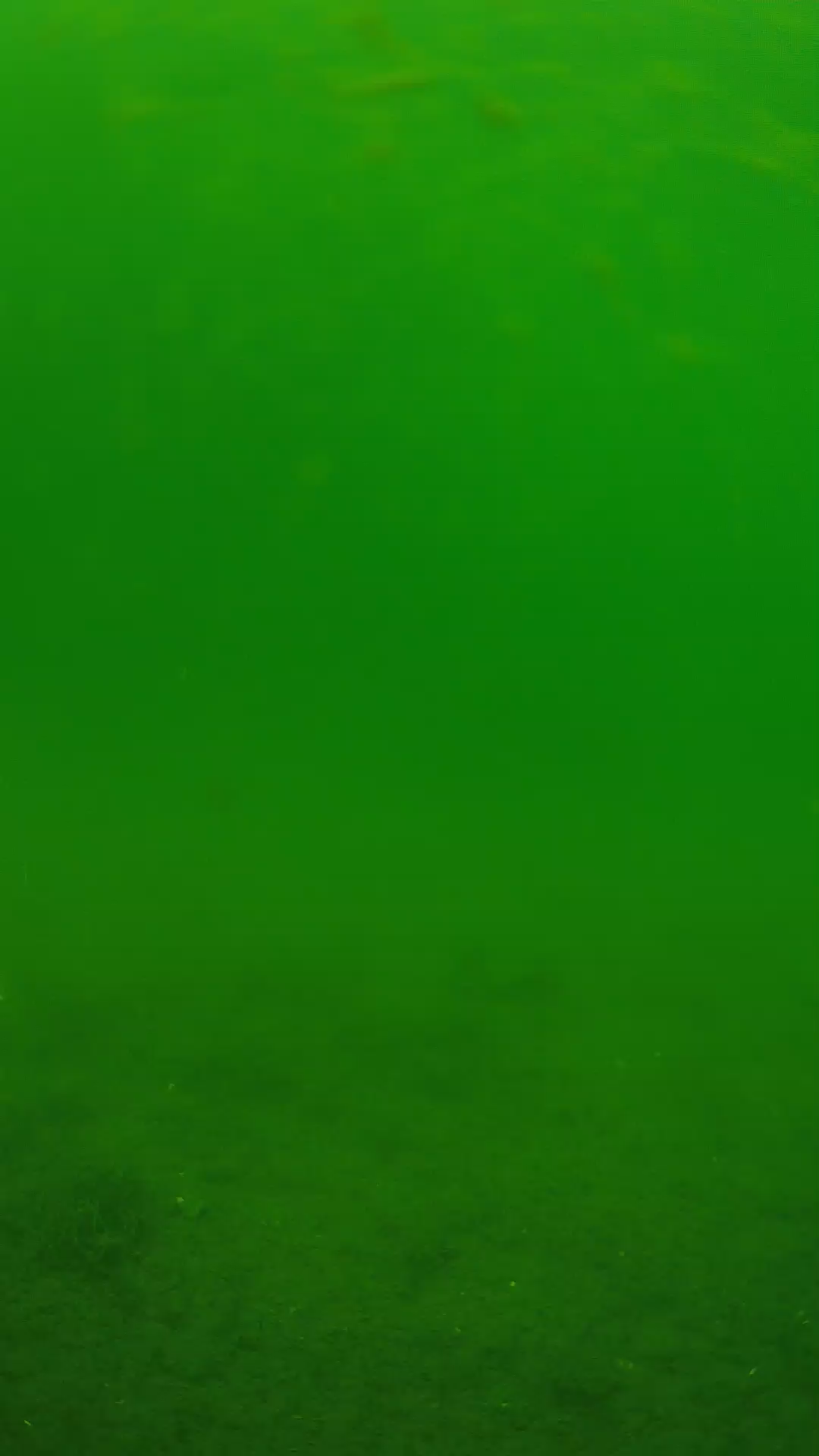 lander_ipcam_20240621113603.png
