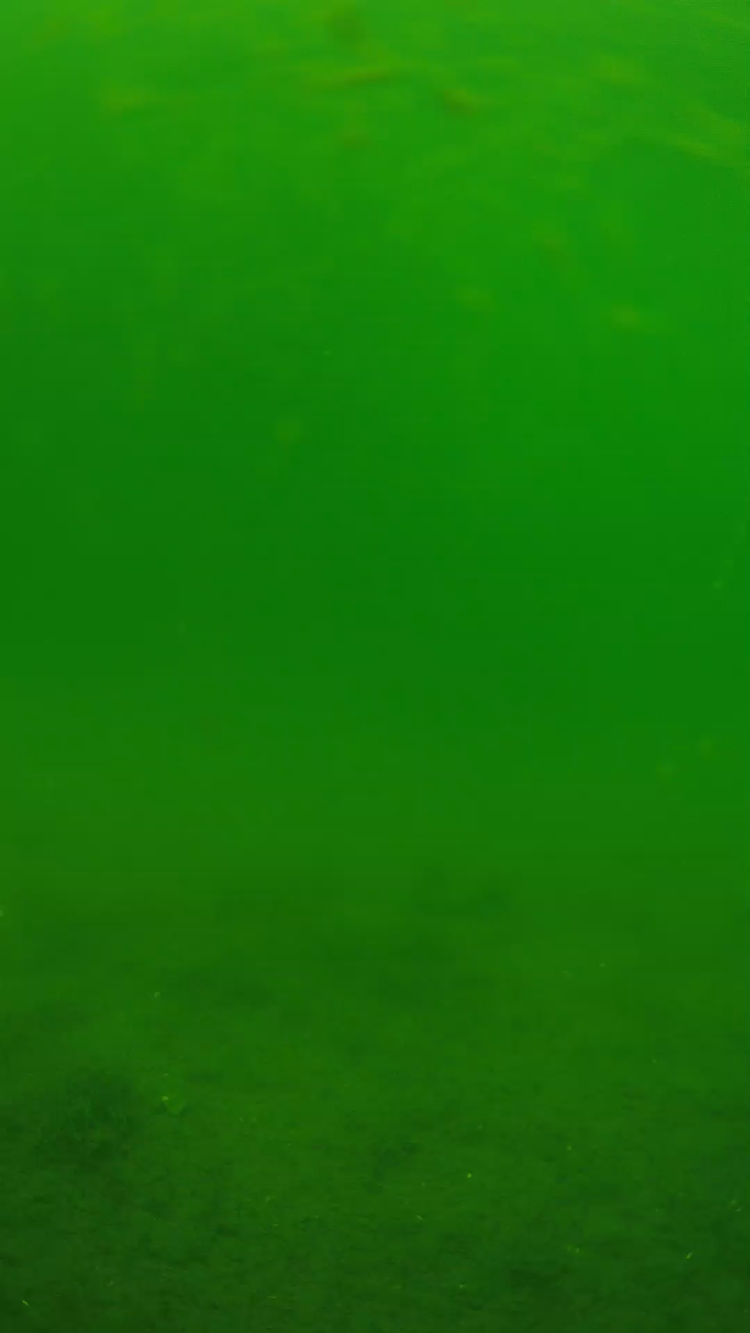 lander_ipcam_20240621113605.png