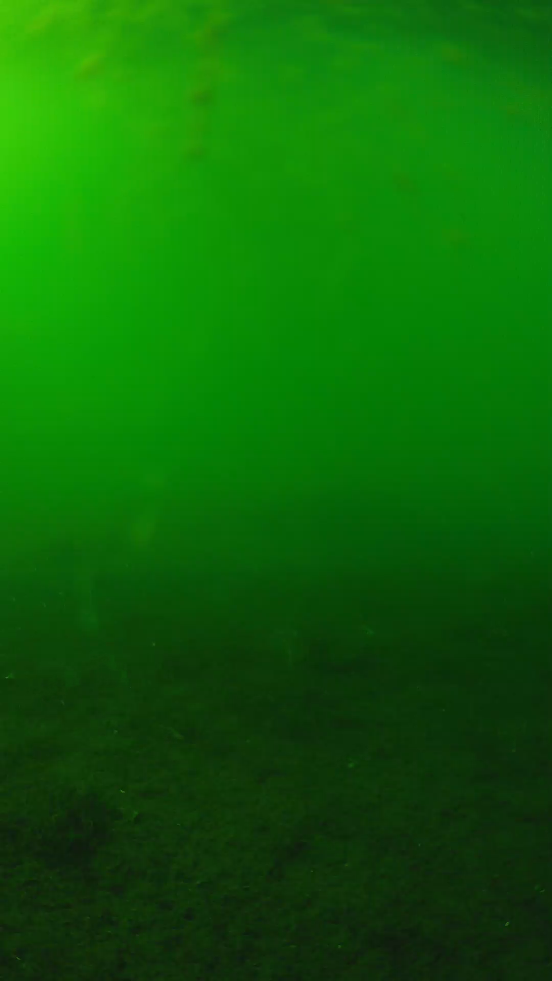 lander_ipcam_20240621160540.png