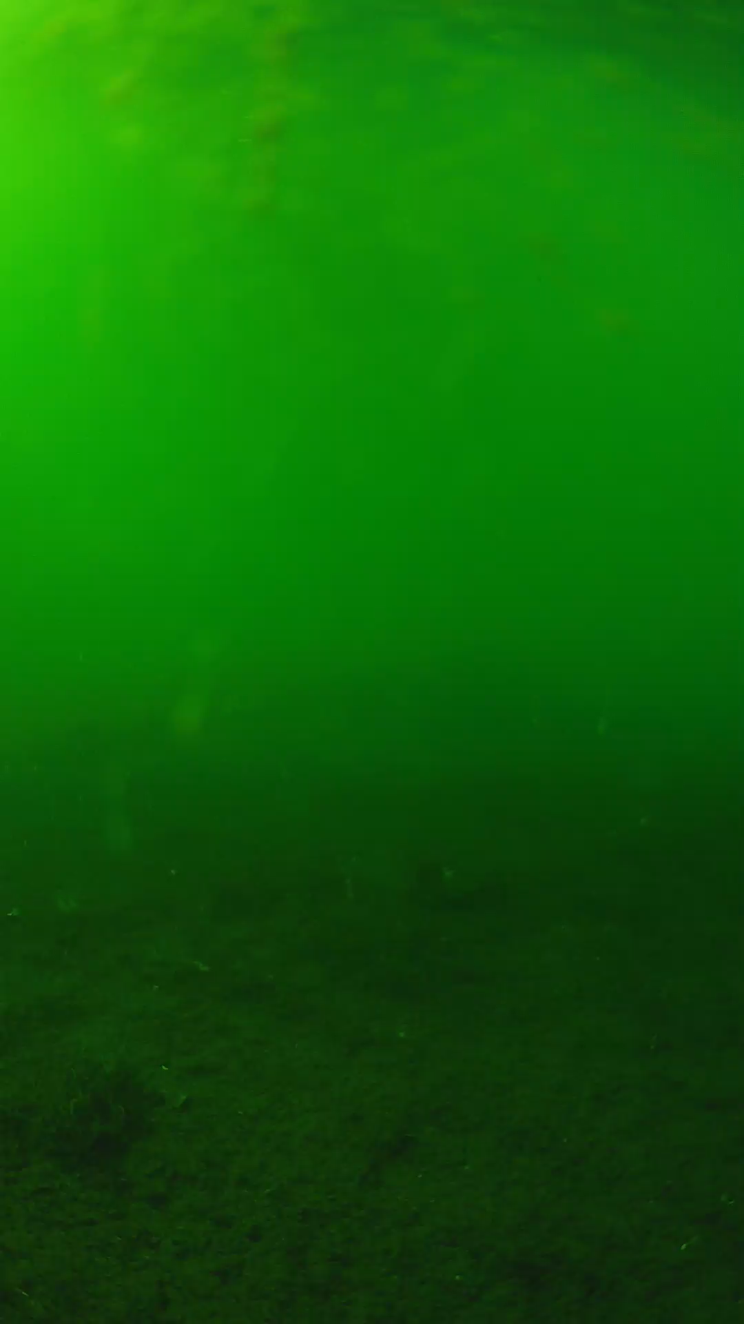 lander_ipcam_20240621160545.png