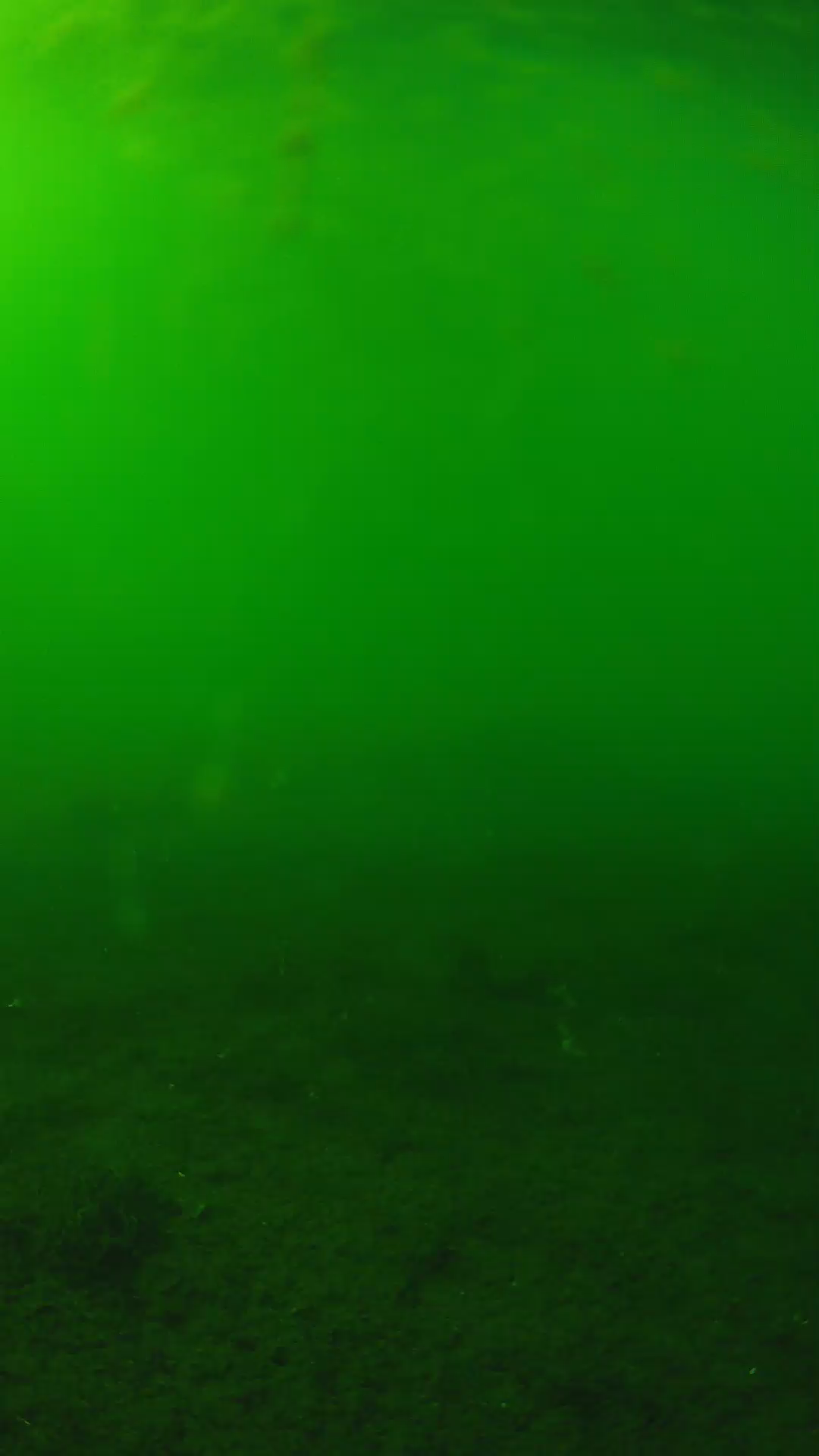 lander_ipcam_20240621160600.png