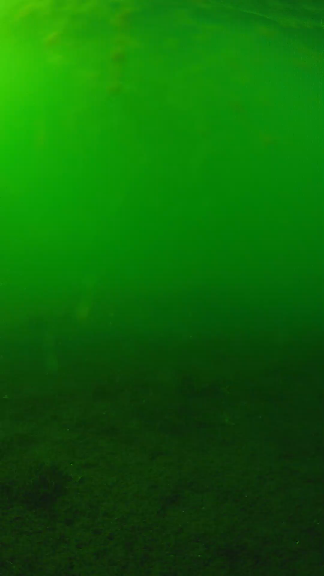 lander_ipcam_20240621160603.png