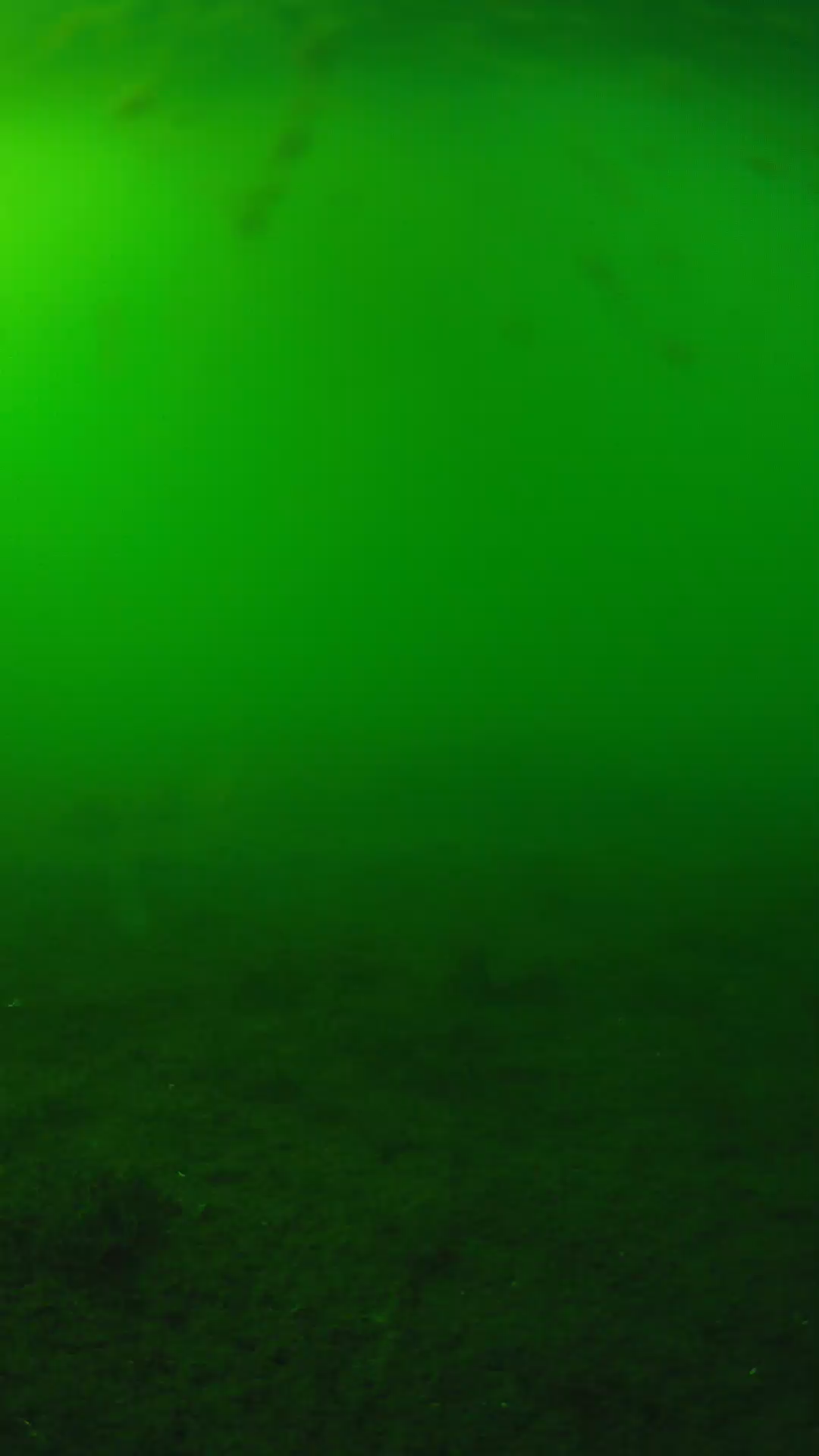 lander_ipcam_20240621163539.png