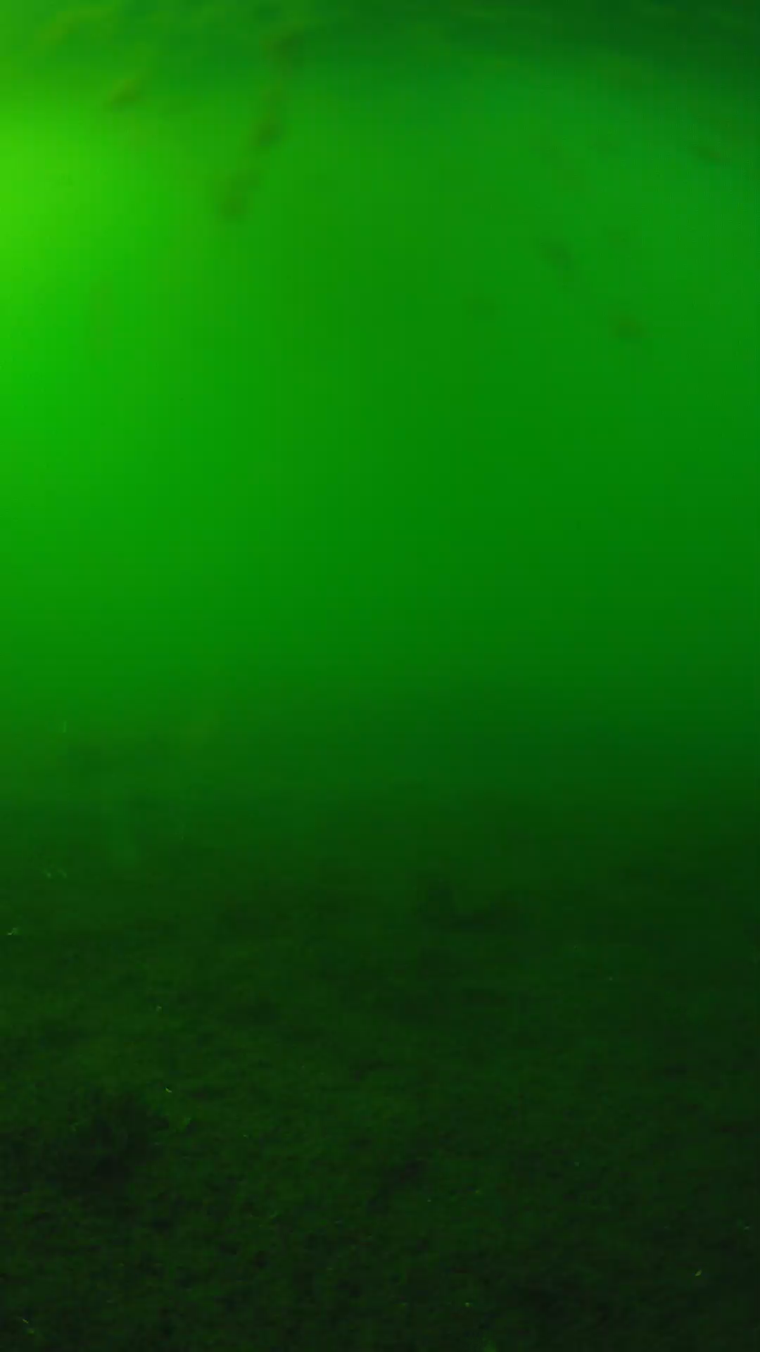 lander_ipcam_20240621163541.png