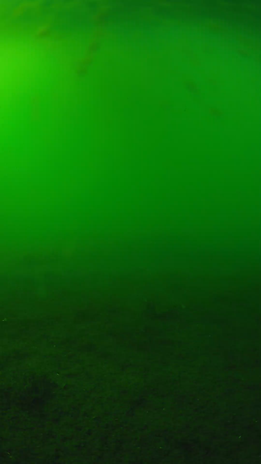 lander_ipcam_20240621163552.png