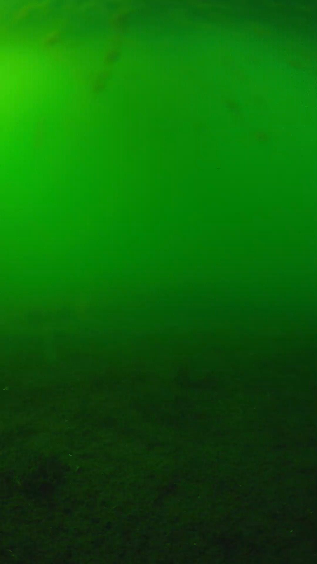 lander_ipcam_20240621163554.png