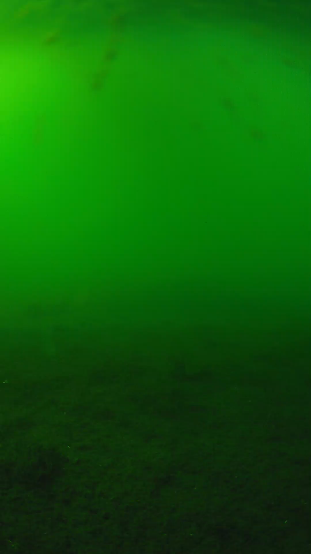 lander_ipcam_20240621163557.png