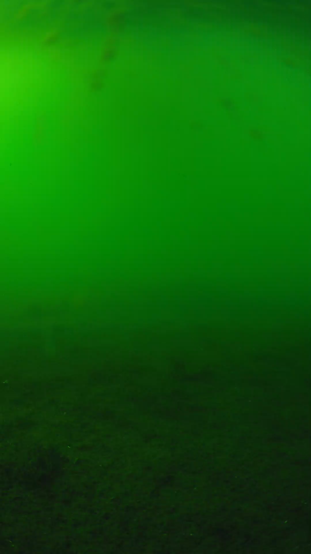 lander_ipcam_20240621163603.png