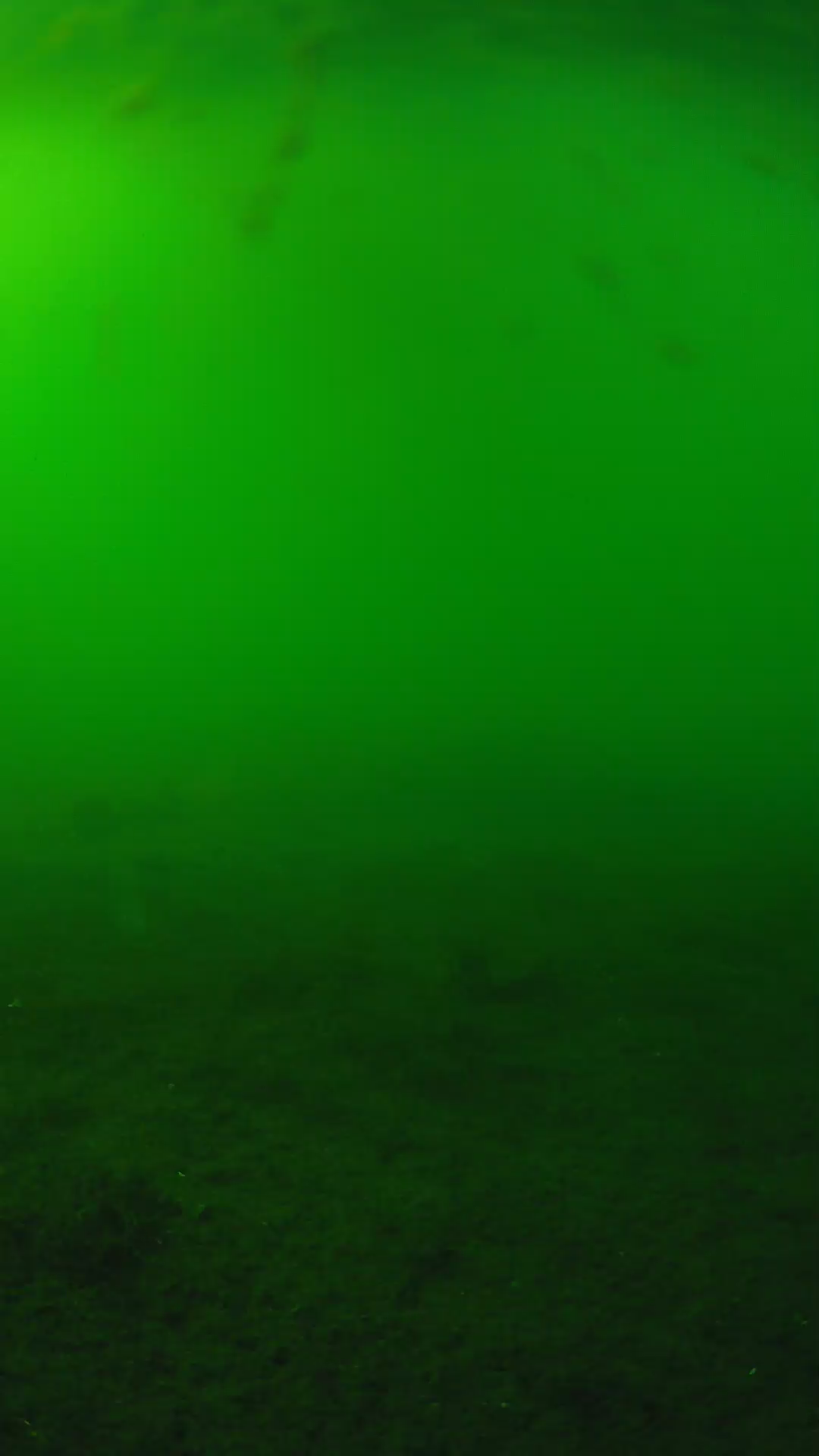 lander_ipcam_20240621163605.png