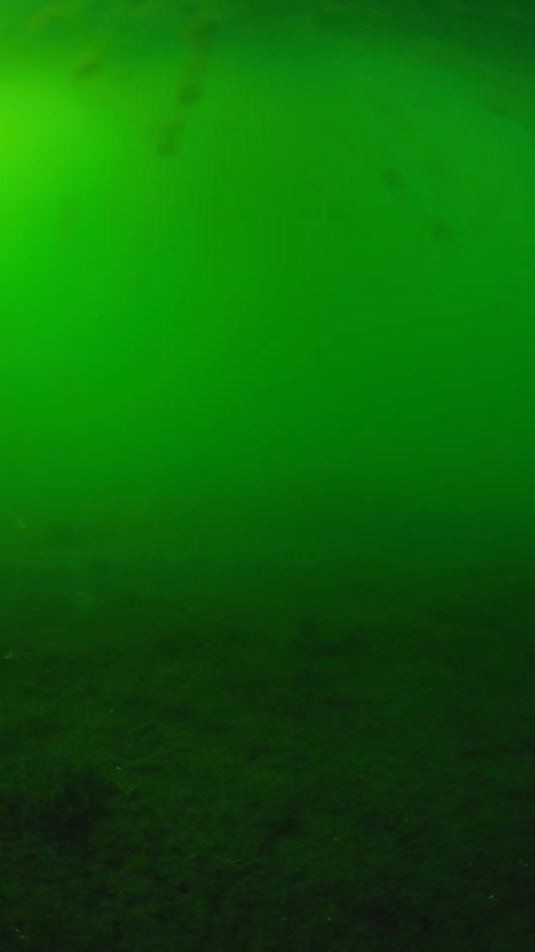 lander_ipcam_20240621163608.png