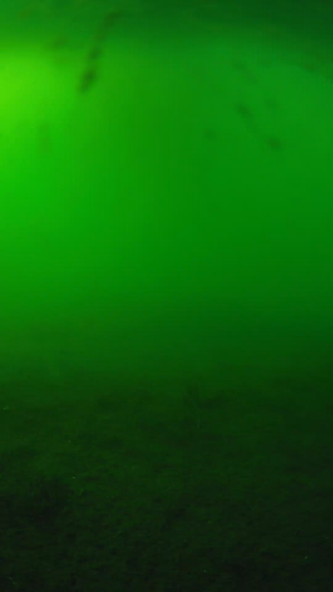 lander_ipcam_20240621170541.png