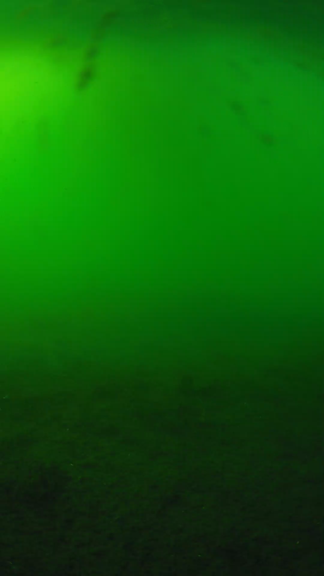 lander_ipcam_20240621170542.png