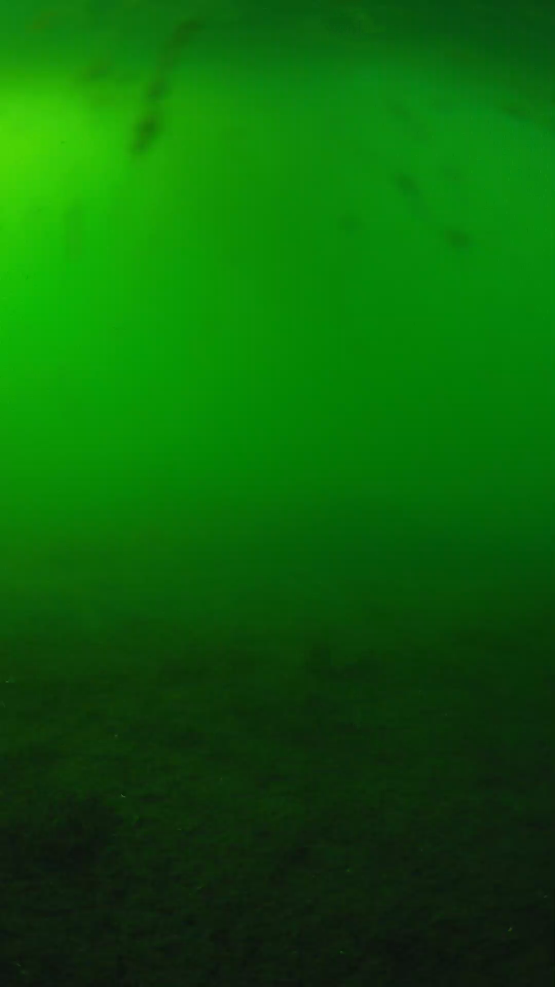 lander_ipcam_20240621170543.png