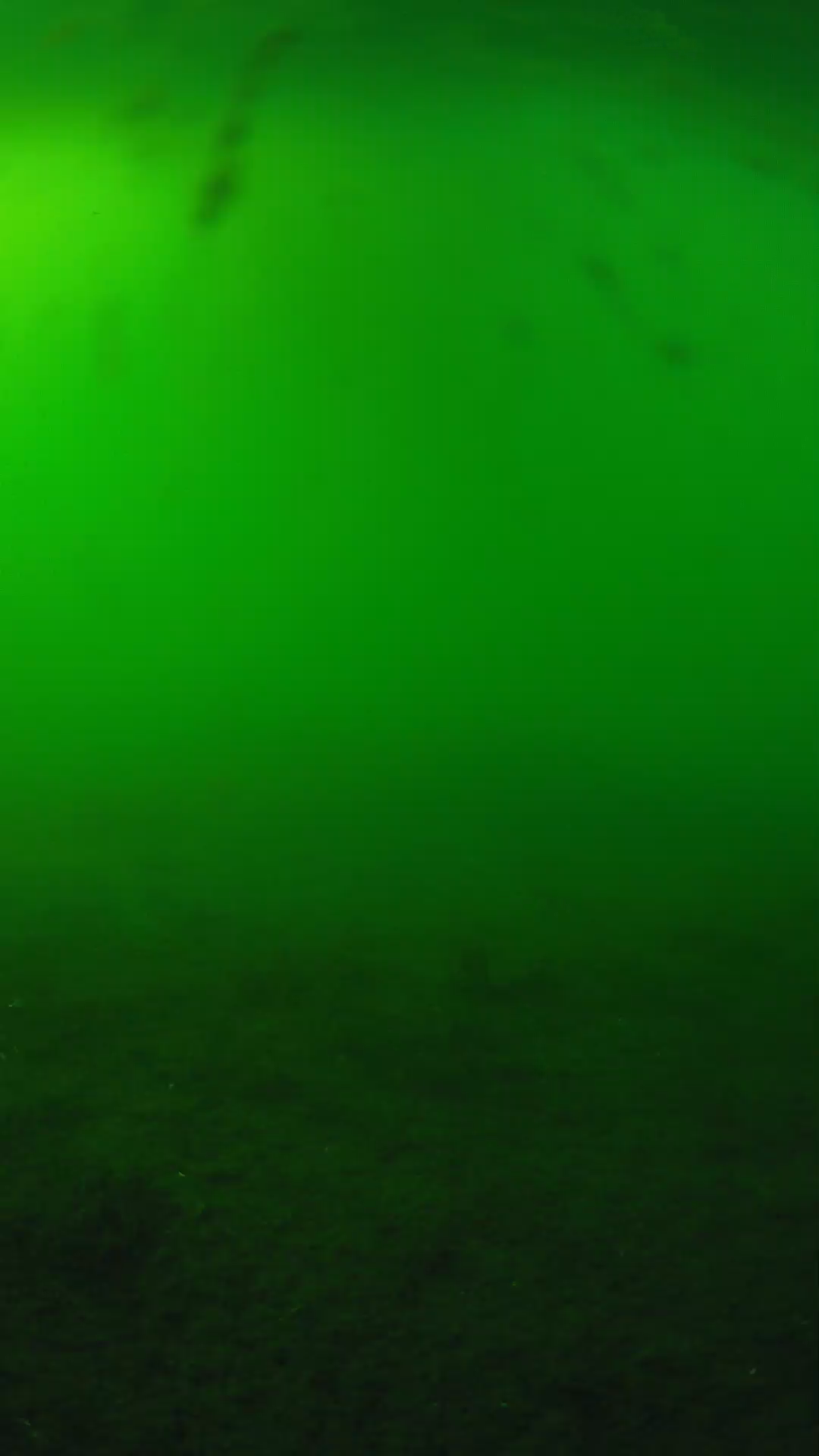 lander_ipcam_20240621170544.png