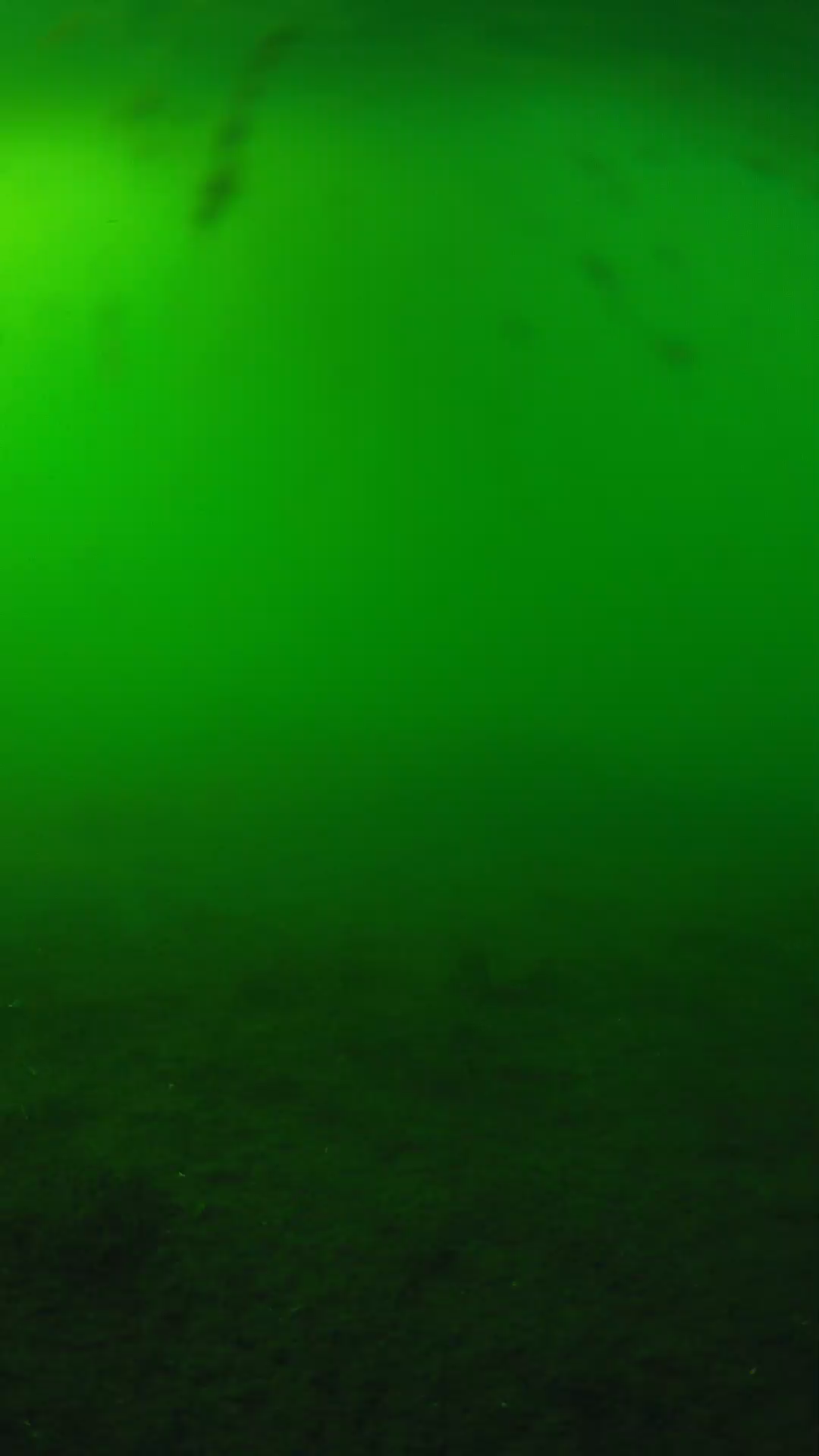 lander_ipcam_20240621170546.png