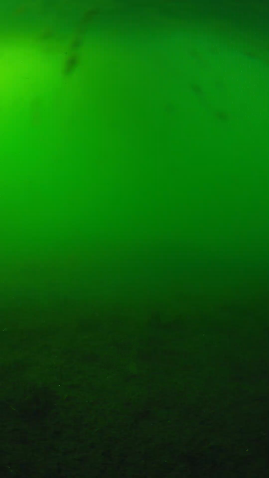 lander_ipcam_20240621170551.png