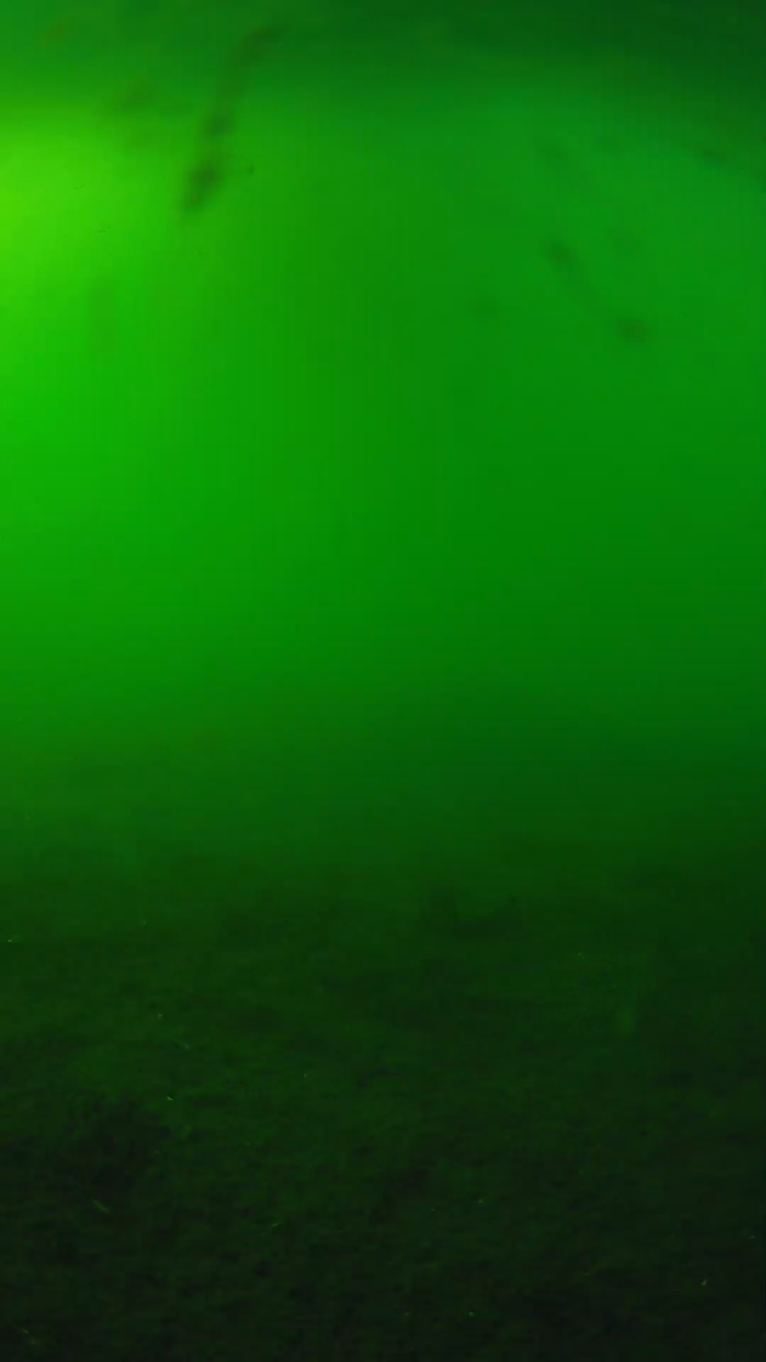 lander_ipcam_20240621170553.png