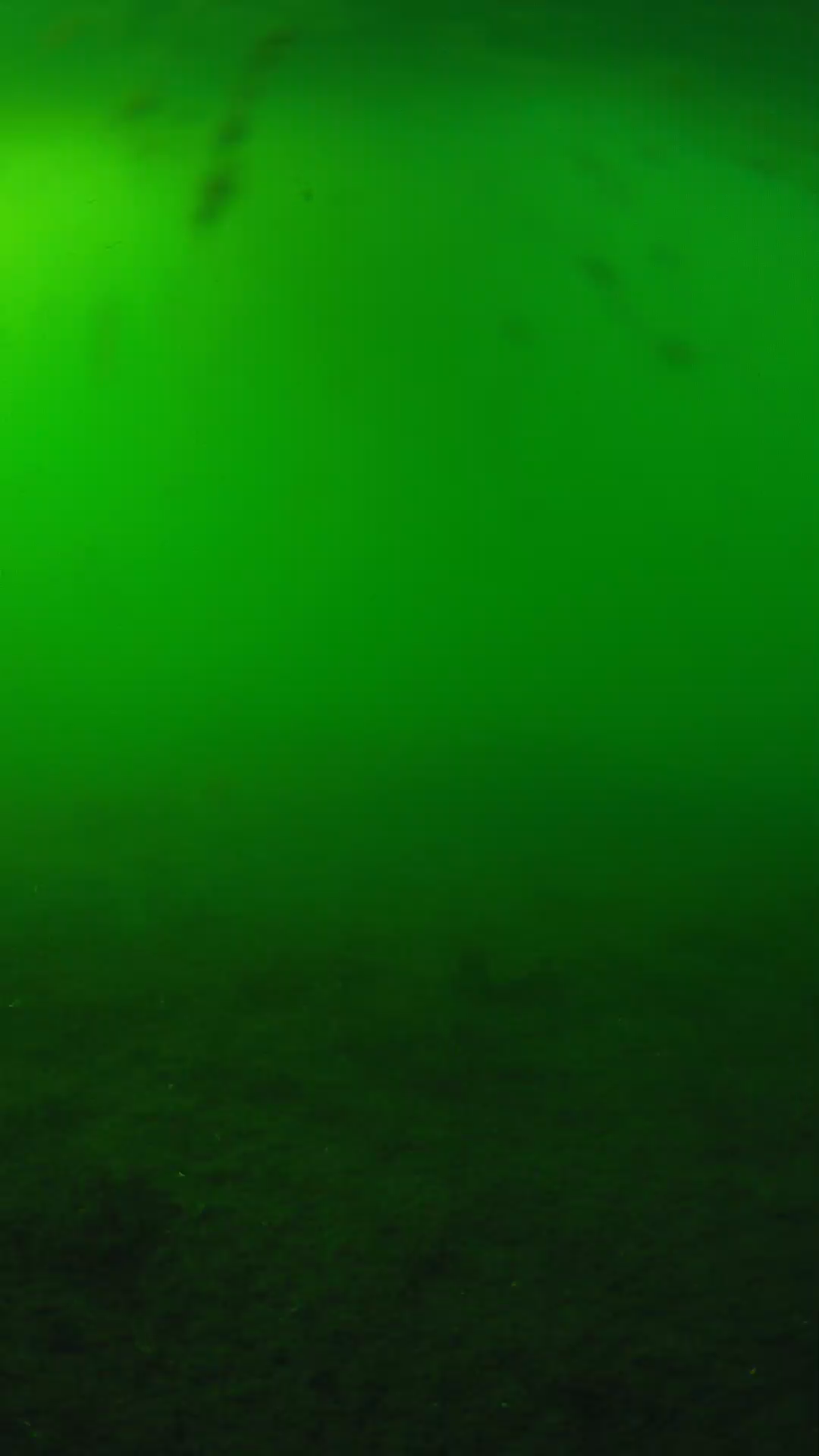 lander_ipcam_20240621170555.png