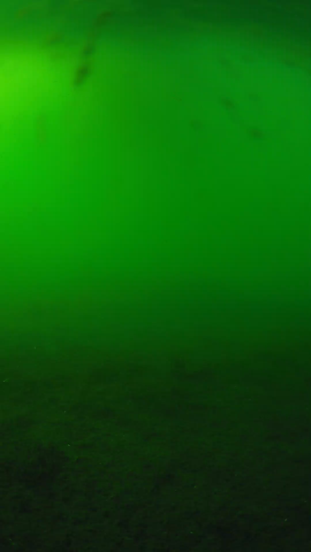 lander_ipcam_20240621170559.png