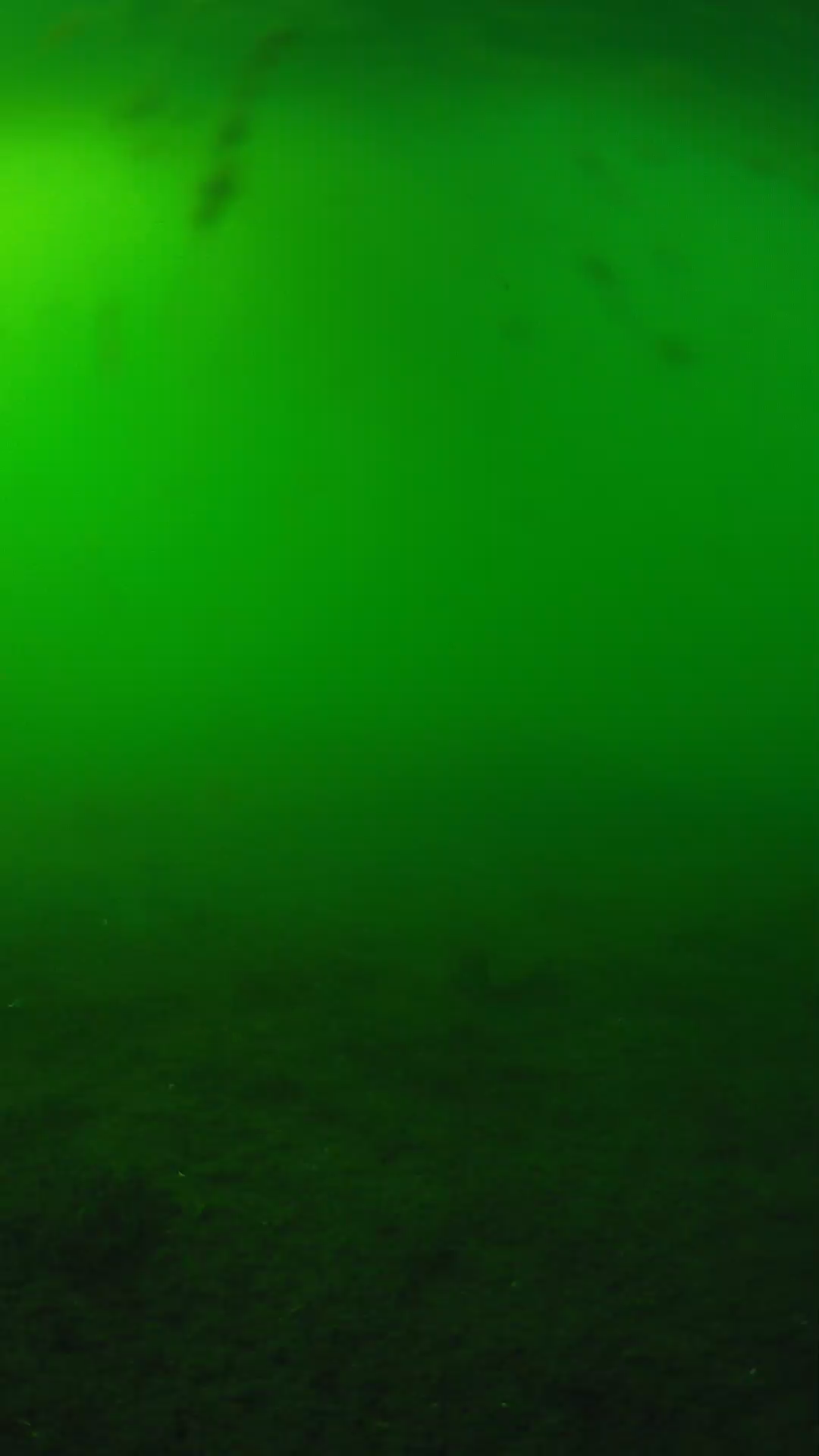 lander_ipcam_20240621170600.png