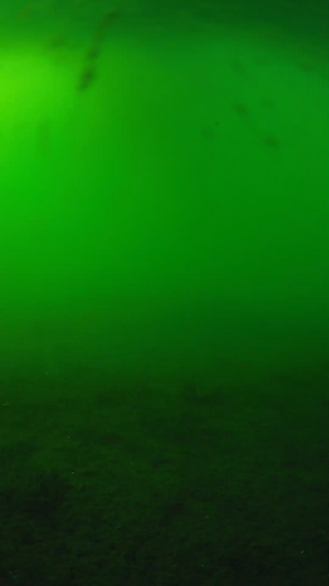 lander_ipcam_20240621170601.png