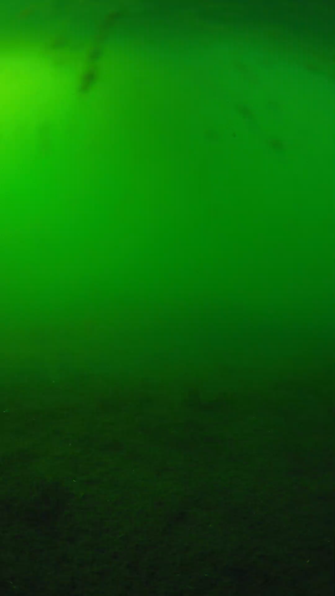 lander_ipcam_20240621170602.png