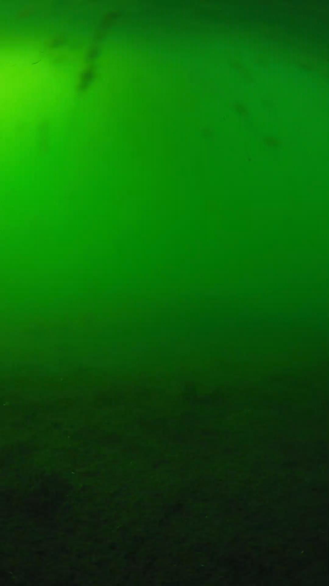 lander_ipcam_20240621170605.png