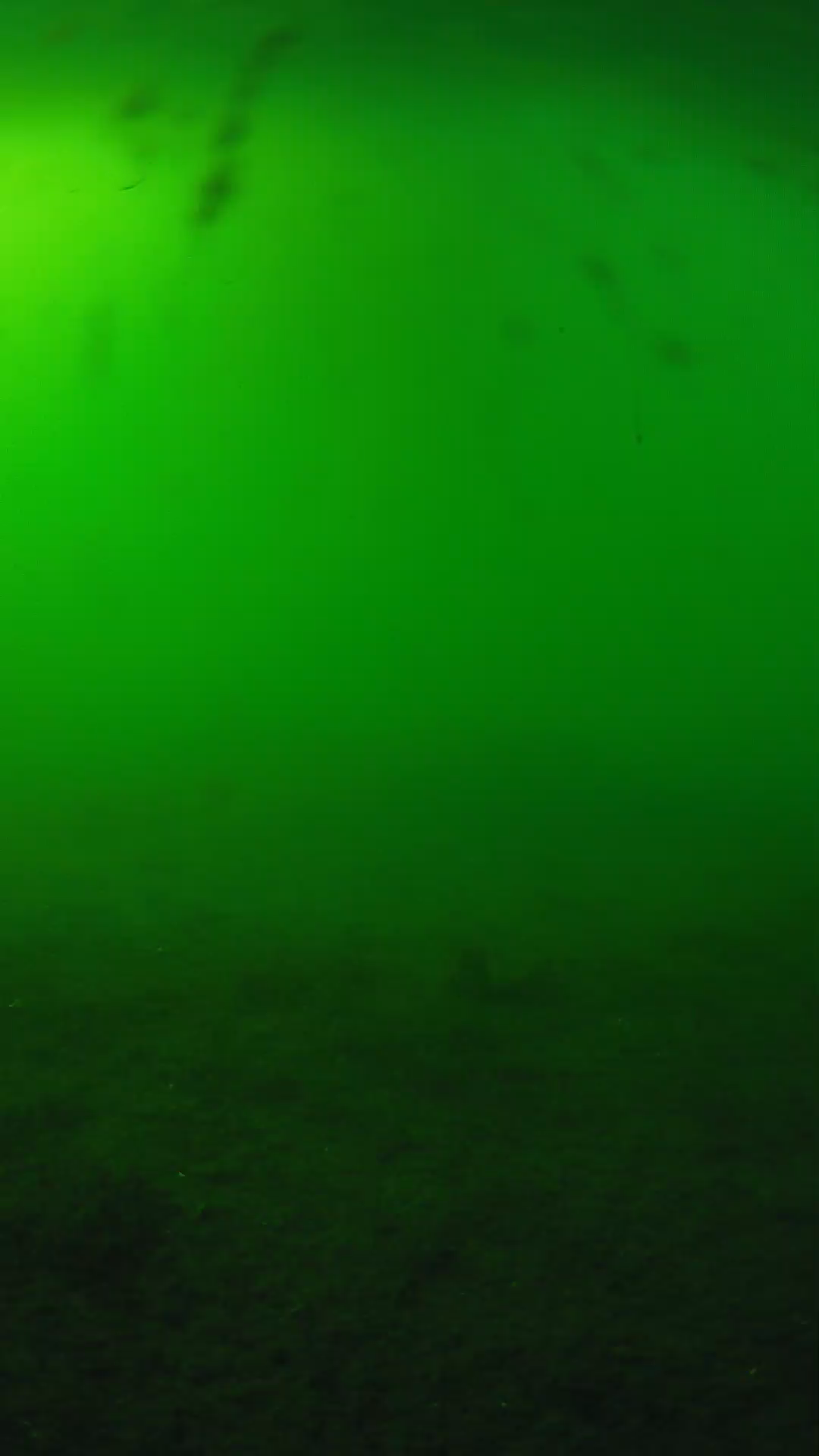 lander_ipcam_20240621170607.png