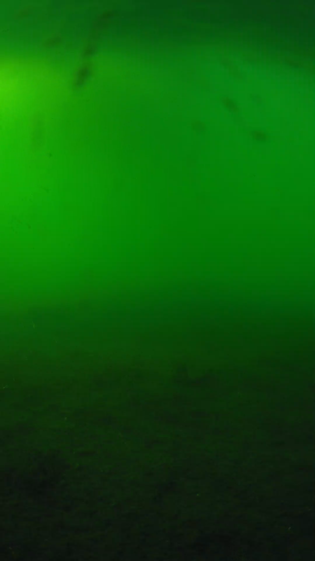 lander_ipcam_20240621173539.png