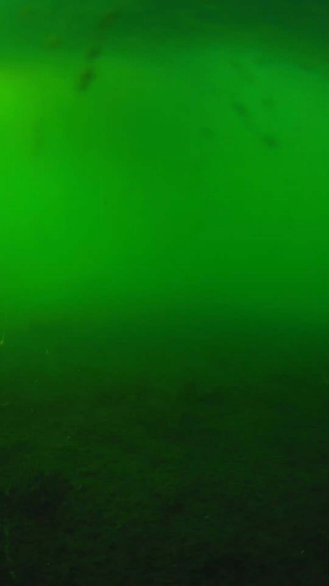 lander_ipcam_20240621173545.png