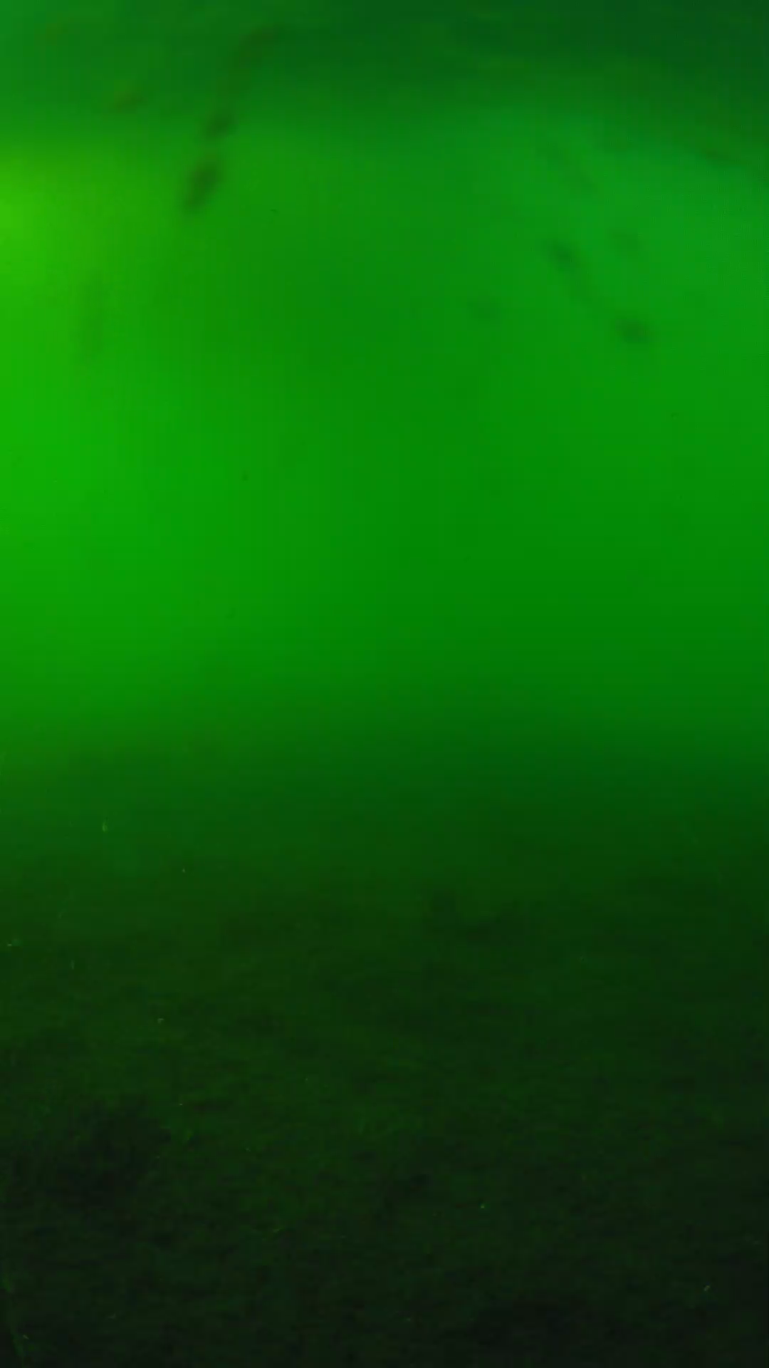 lander_ipcam_20240621173546.png