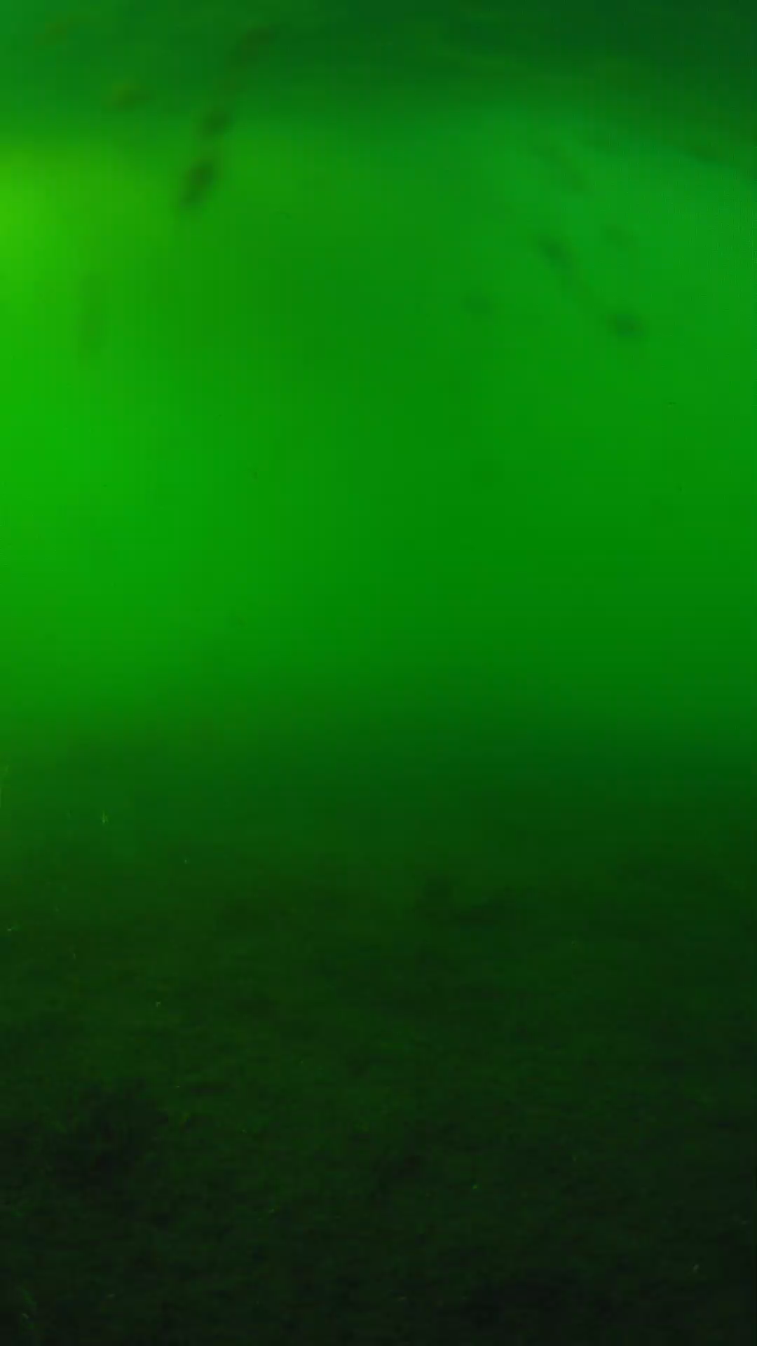 lander_ipcam_20240621173547.png