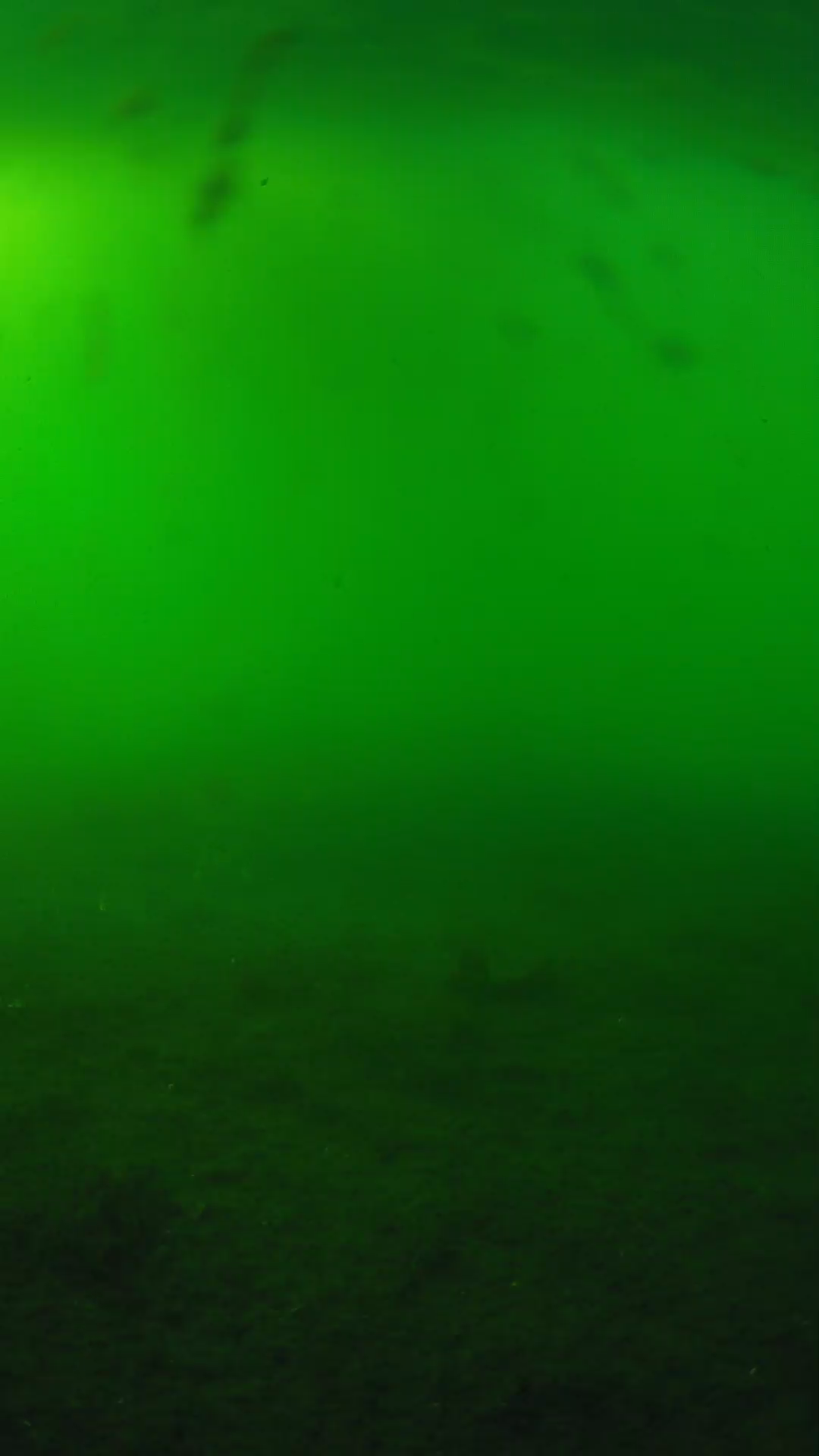 lander_ipcam_20240621173555.png