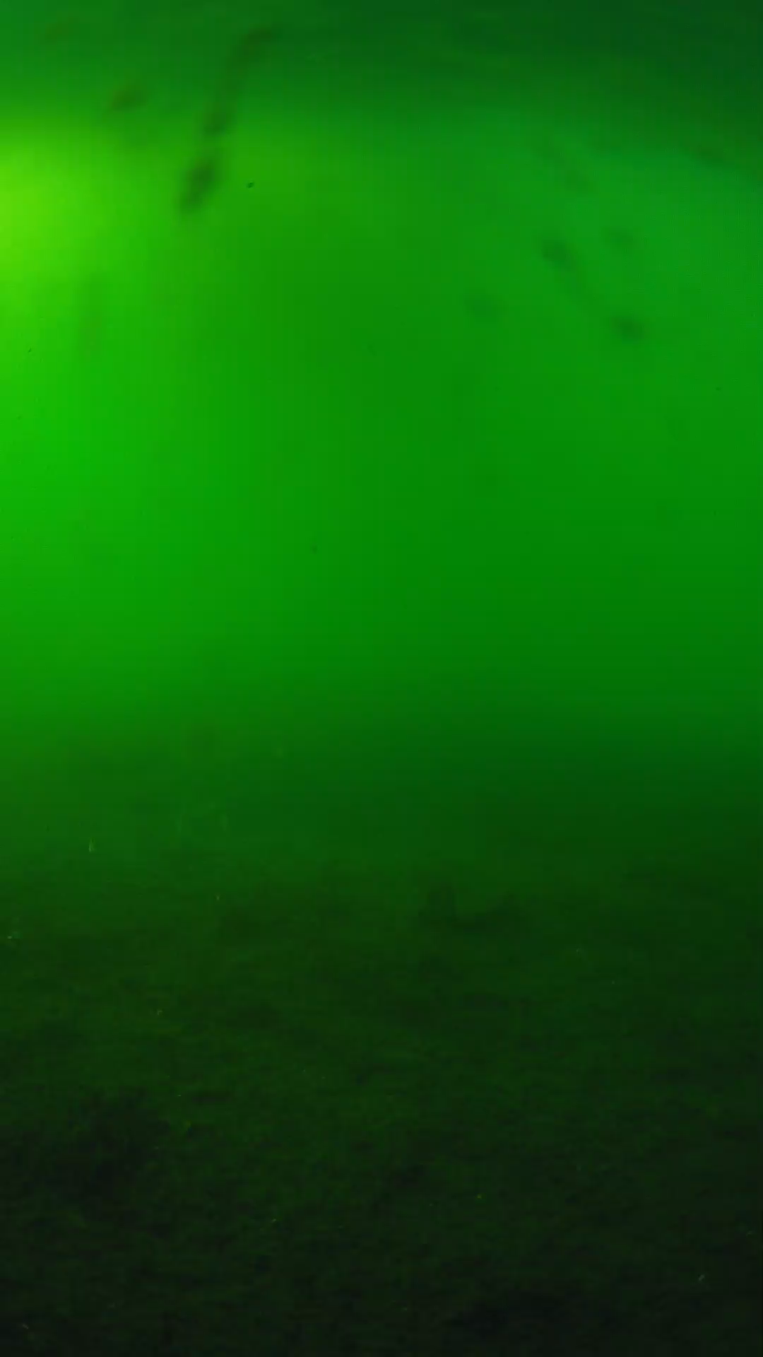 lander_ipcam_20240621173556.png