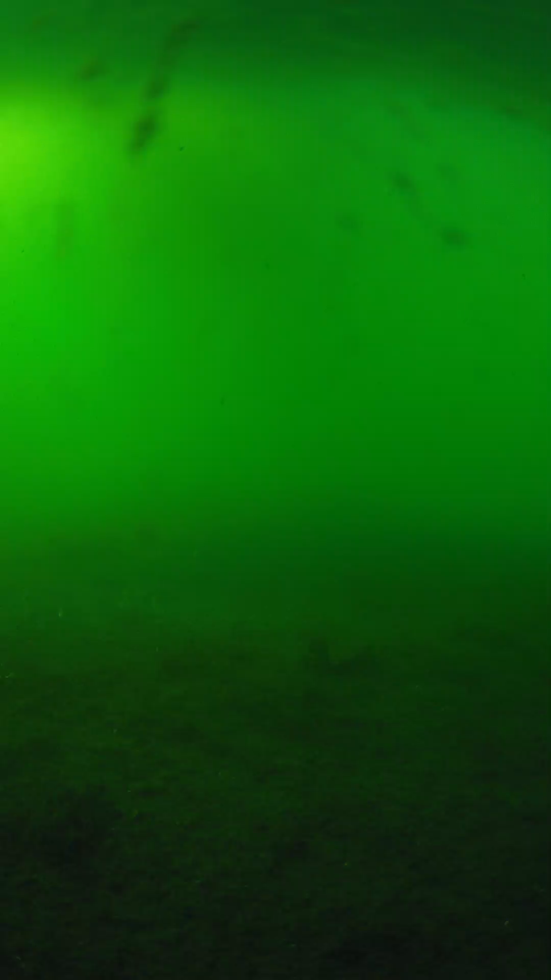 lander_ipcam_20240621173557.png