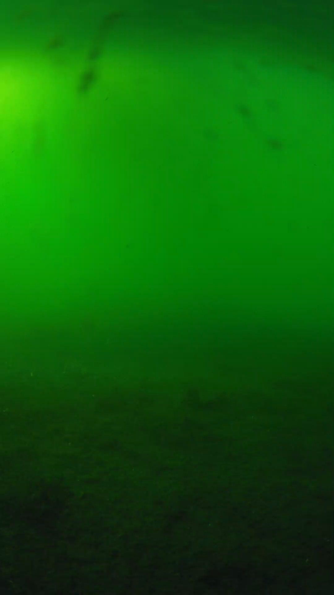 lander_ipcam_20240621173558.png