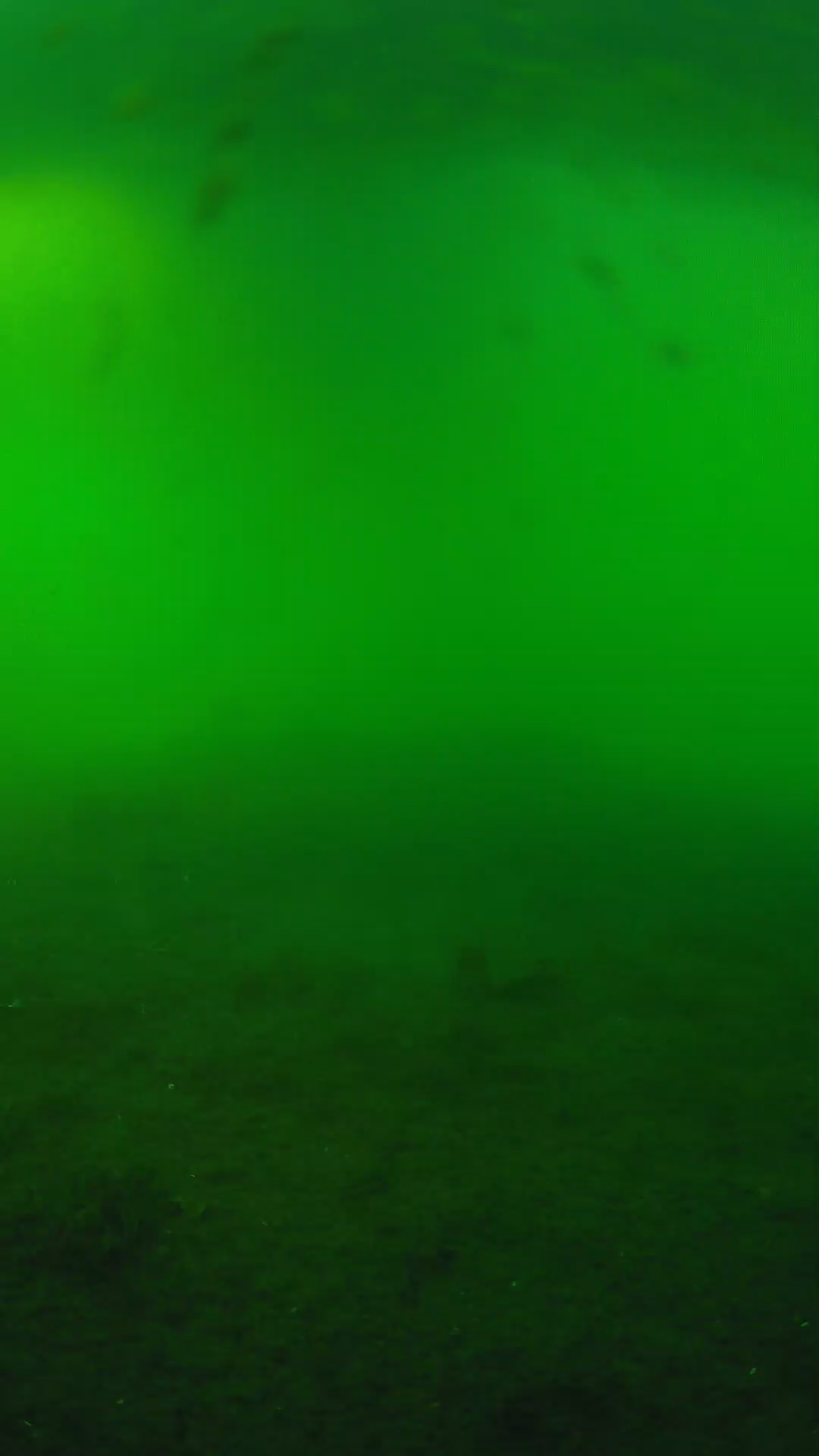 lander_ipcam_20240621180546.png