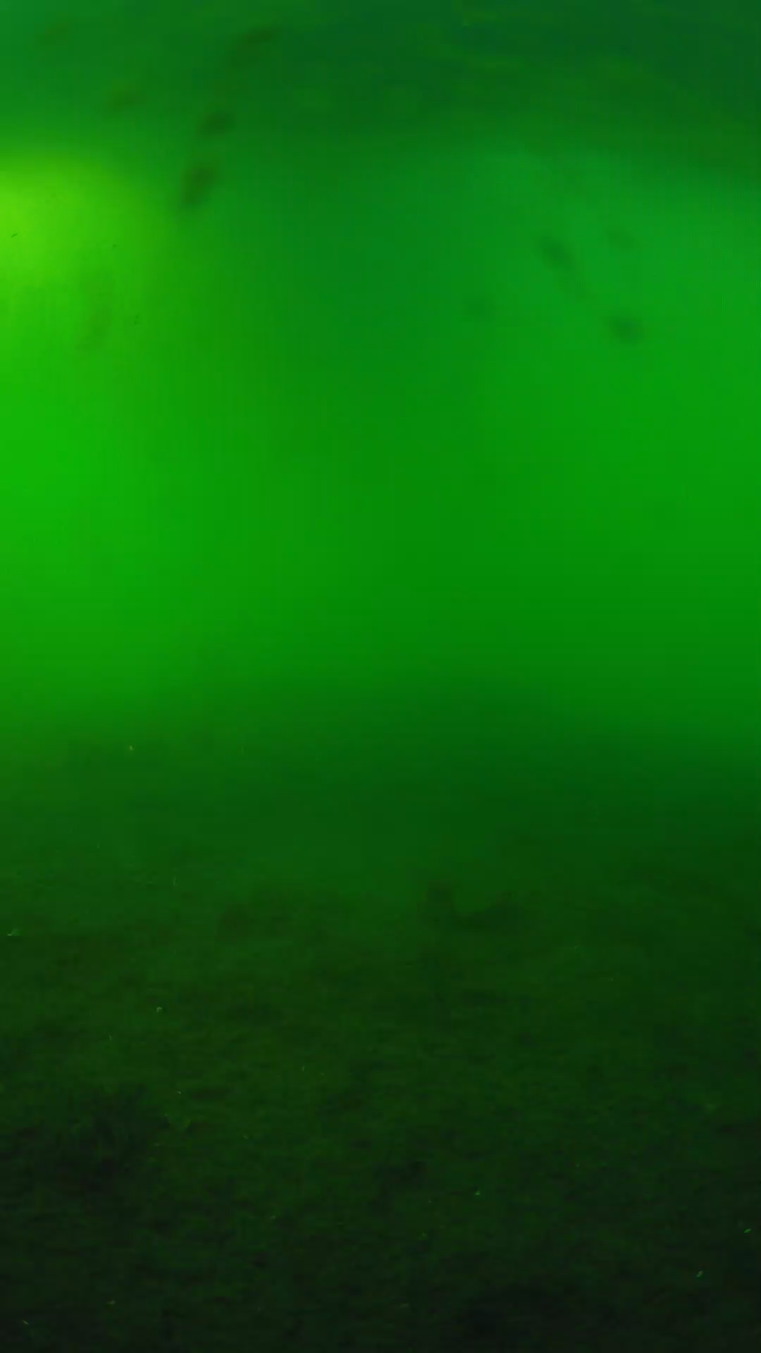 lander_ipcam_20240621180551.png