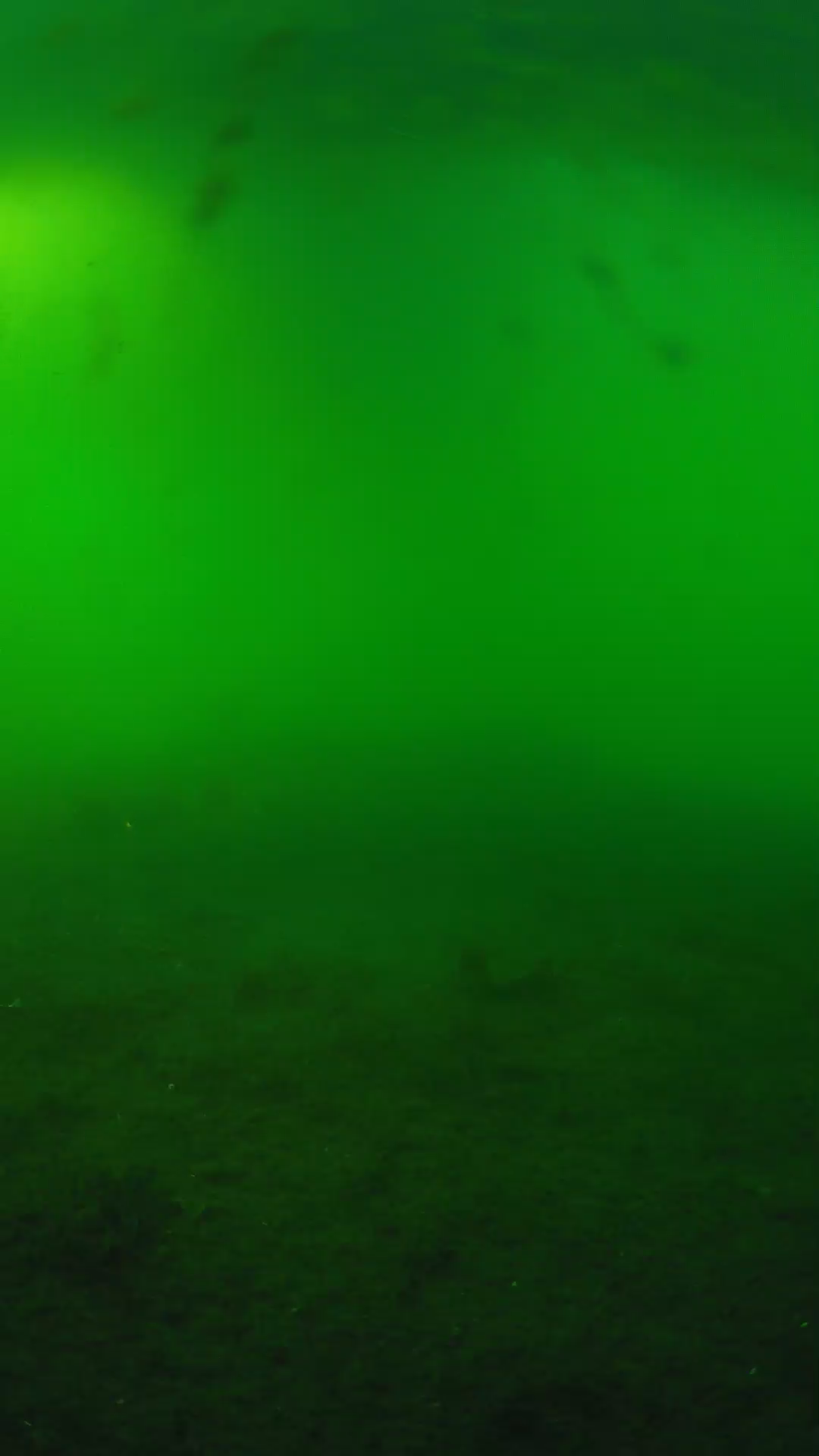 lander_ipcam_20240621180552.png