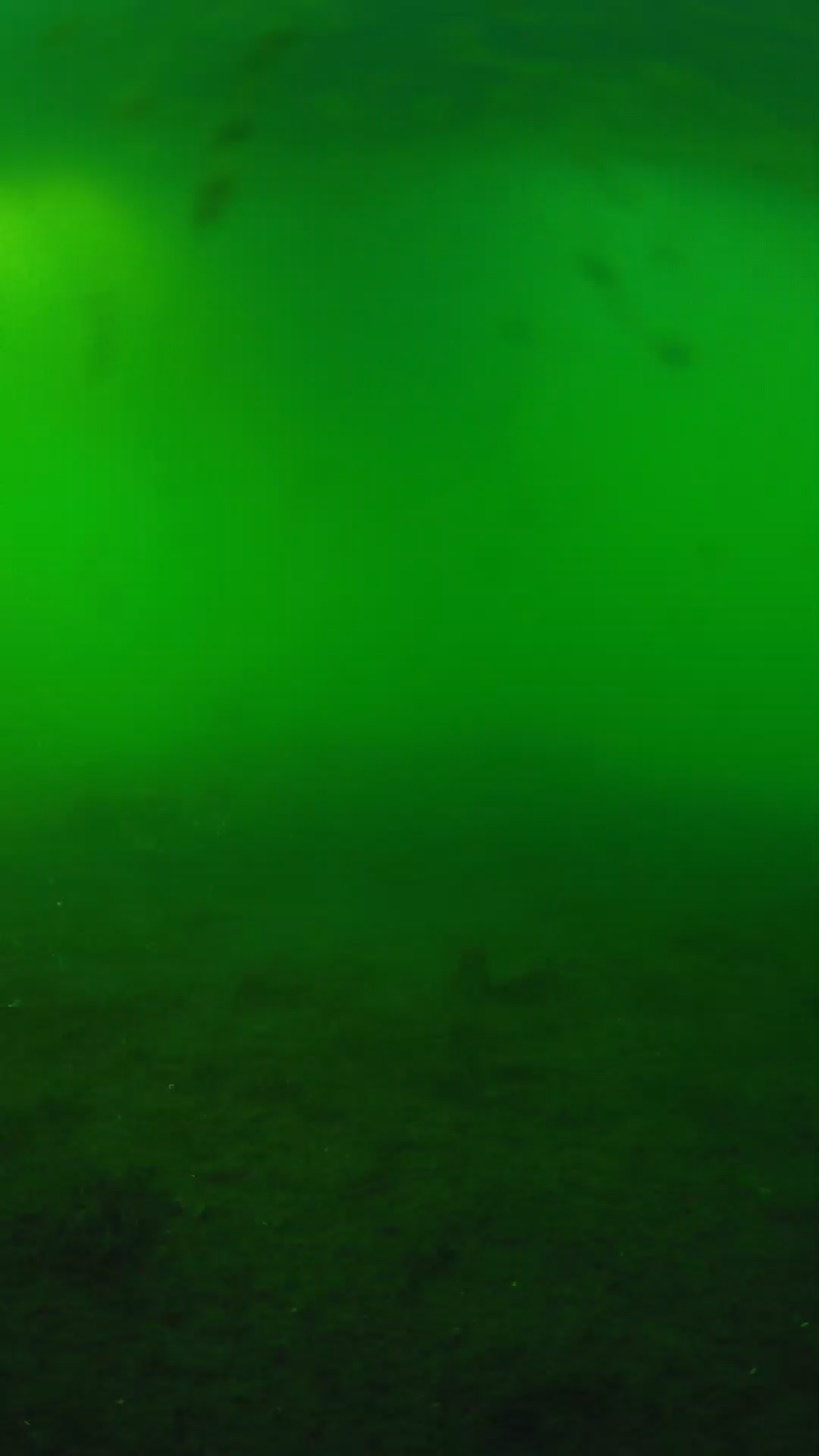 lander_ipcam_20240621180557.png