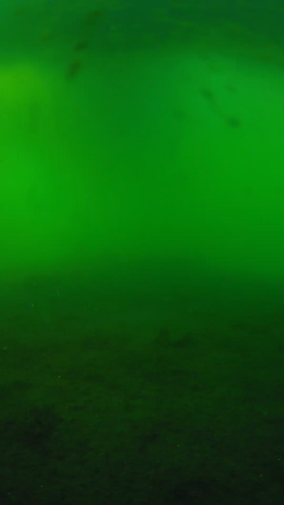 lander_ipcam_20240621180606.png