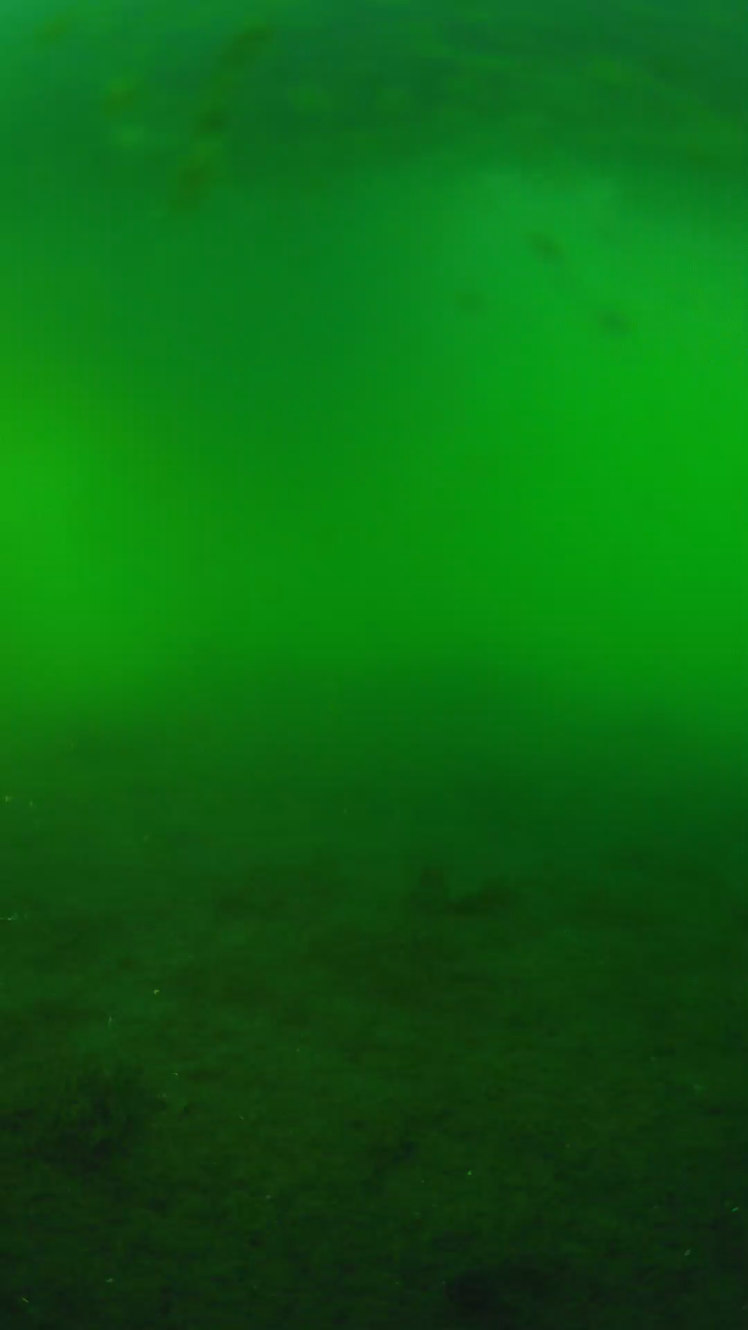 lander_ipcam_20240621183539.png