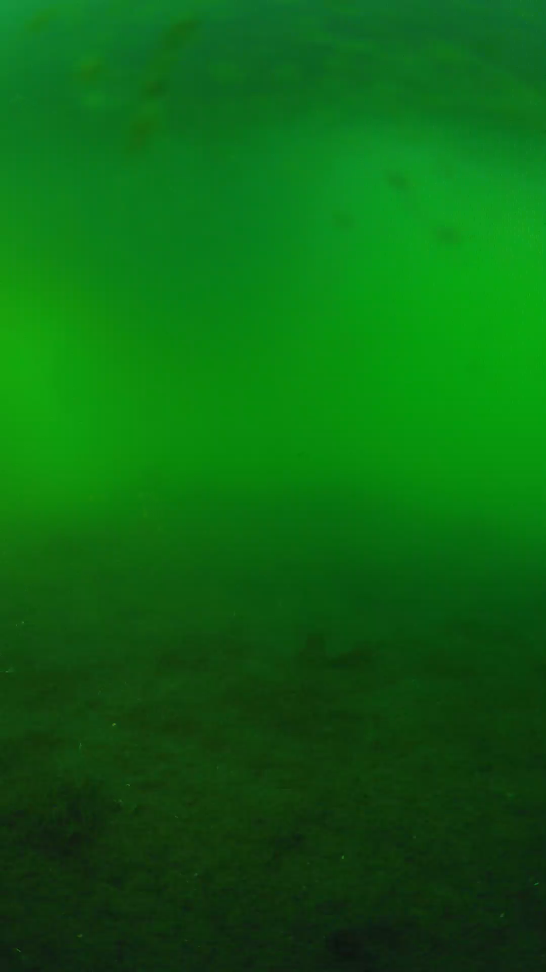 lander_ipcam_20240621183541.png