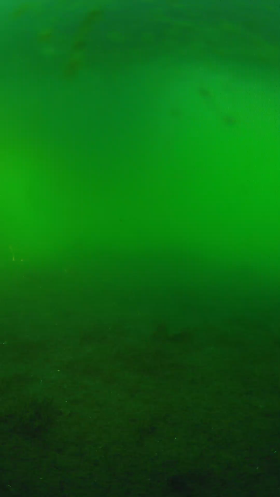 lander_ipcam_20240621183544.png