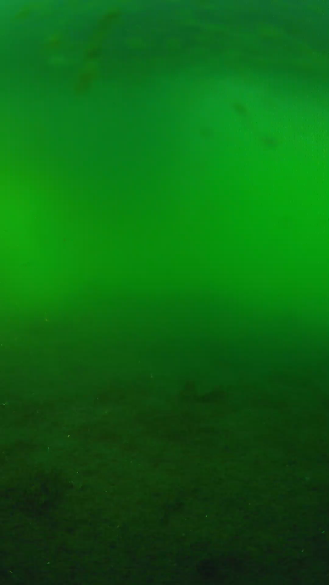 lander_ipcam_20240621183548.png